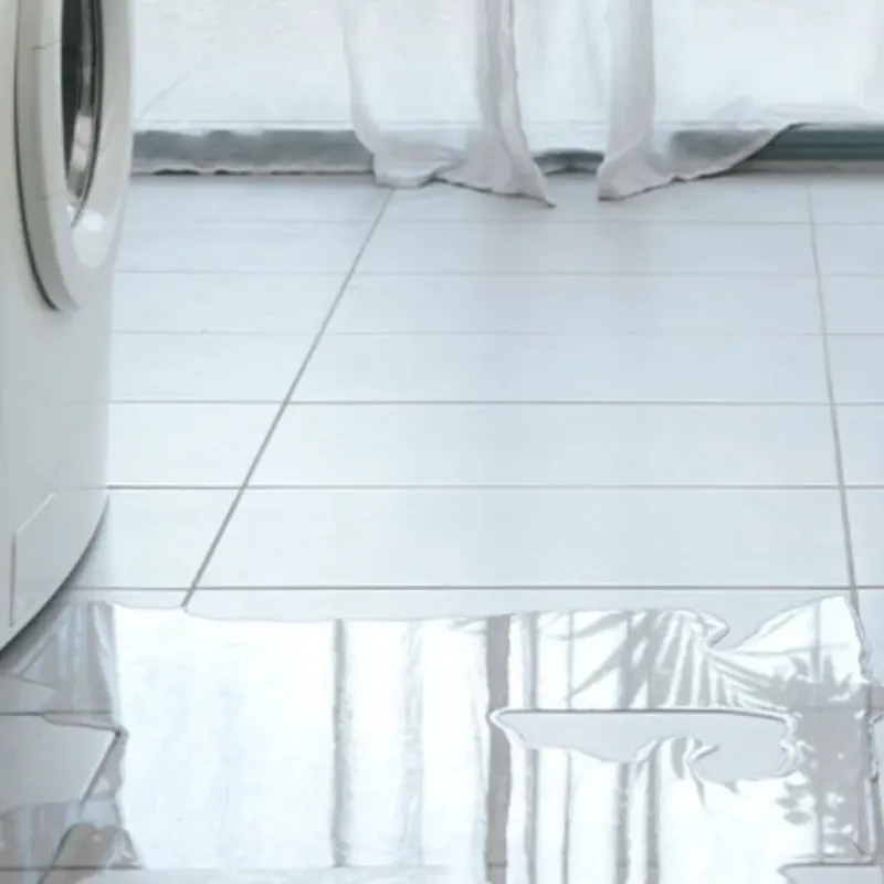 Appliance Leak Cleanup in Orlovista, FL